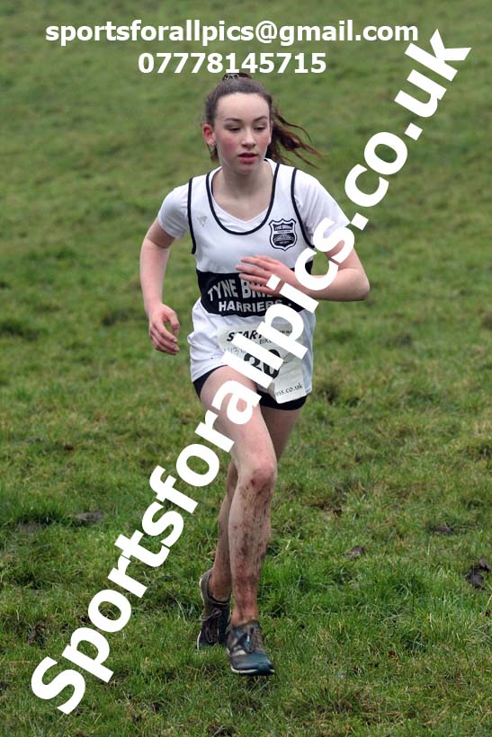 Girls under-13s, NECAA Junior Cross Country Relays, Thornley Farm, Peterlee, Saturday, December 12th. Photo: David T. Hewitson/Sports for All Pics
